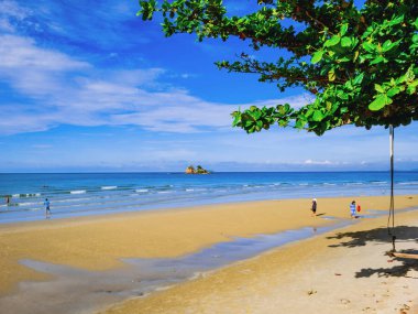 Tatil zamanı, yaz concep güzel gökyüzü pastoral okyanusta yanındaki ağaca kapatın