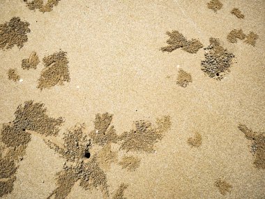 Tatil zamanı sahilde kum, kum doku duvar kağıdı, yaz concep