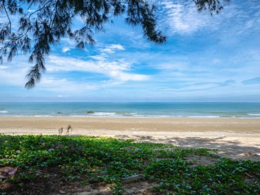 Doğa beach ile okyanus pastoral ve güzel gökyüzü, yaz concep yanında
