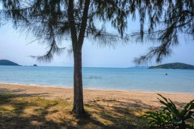 Tatil zamanı, plaj, yaz kavramı, Koh mak Adası: trat Thailan tatil tropikal Idyllic Beach