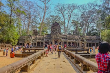 Siemreap/2016:Ta prohm Tapınağı siem biçmek mavi gökyüzü ve Turizm Kamboçya - Şubat 03 ziyaret angkor wat, Kamboçya, siem biçmek worl merak ediyorum