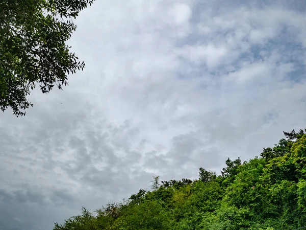 Idyllic rainy sky with tree,cloudscpa