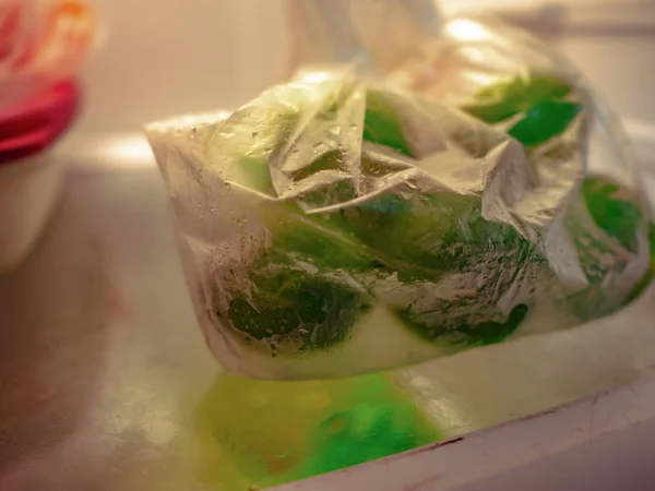Groupe Chaux Dans Sac Plastique Réfrigérateur — Photo