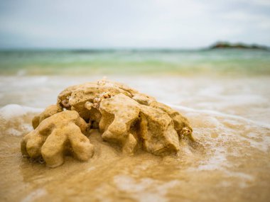 Rocky taşı yakın plaj, tropikal Idyllic Beach ve tatil zamanında dalga okyanus ile mavi gökyüzü, kavram yaz.