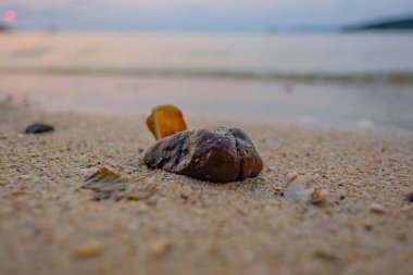 Taşı ile pastoral okyanus plaj tatil zamanında, koh mak Adası: trat thailand, yaz konsepti kapatın