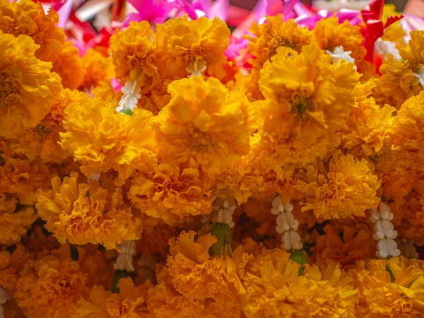 Zbliżenie Kwiatów Układ Kierowniczy Świątyni — Zdjęcie stockowe