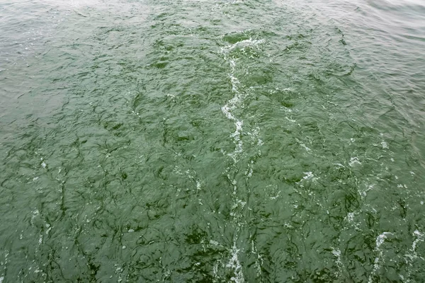 Green Water surface at xihu lake in hangzhou city china in winter season