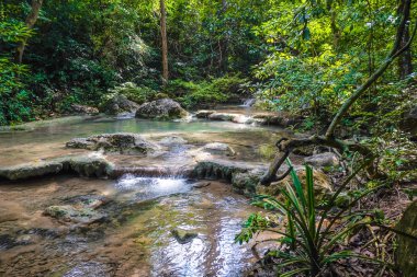 Derin orman şelale erawan Milli Parkı Kanchanaburi'deki/daki oteller Tayland doğa seyahat