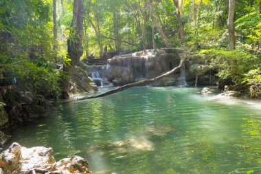 Derin orman şelale erawan Milli Parkı Kanchanaburi'deki/daki oteller Tayland doğa seyahat