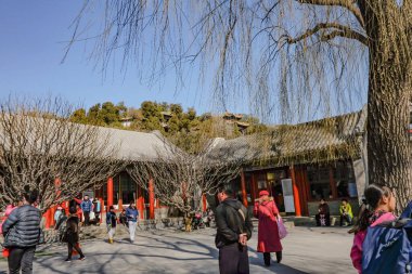 Pekin / Çin - 26 Şubat 2017: Çin 'in başkenti Pekin' deki Yaz Sarayı Parkı 'nda yürüyen yabancı Çinli veya turist