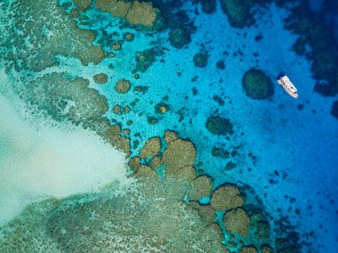 Dalış teknesi, Wheeler resif, Great Barrier Reef, Queensland, Avustralya