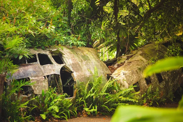 Crashed Plane Rainforest — Stock Photo, Image