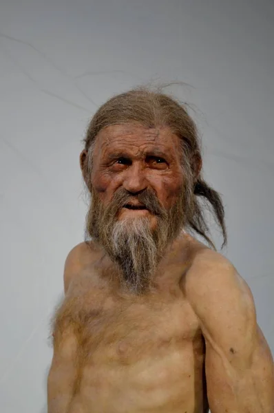 波尔查诺 意大利 2018年7月 奥茨木乃伊的回顾 发现在意大利 日期作为一个人居住5300年前 — 图库照片