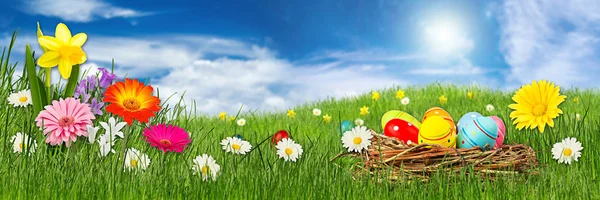 다채로운 부활절 계란 fr에 녹색 잔디 파노라마 풀밭에 꽃 — 스톡 사진