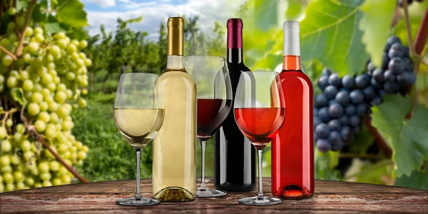 Colección de vasos de botella de vino blanco rojo y rosa equisite en — Foto de Stock