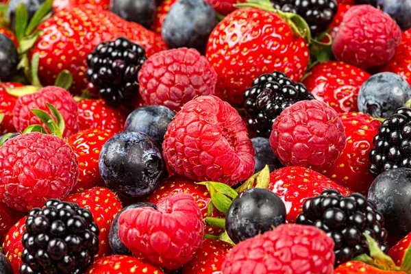 Färgglad, välsmakande blandning av vilda skogs bär frukter. Strawberry blueb — Stockfoto