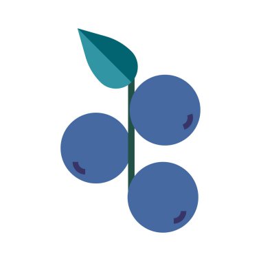 Üzüm vektörü illüstrasyonu