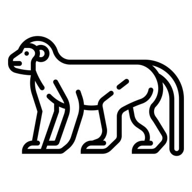 Maymun hat illüstrasyon 