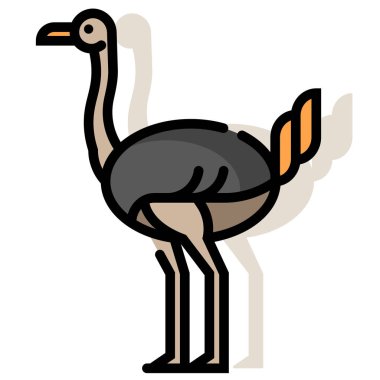 Devekuşu Linecolor illüstrasyon