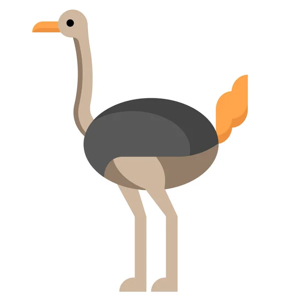 Ostrich flat illustration — Stock Vector