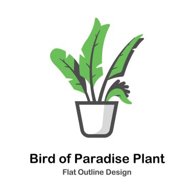 Bird of paradise plant Outline Flat illustration clipart