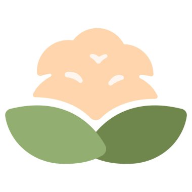 Karnabahar düz simgesi