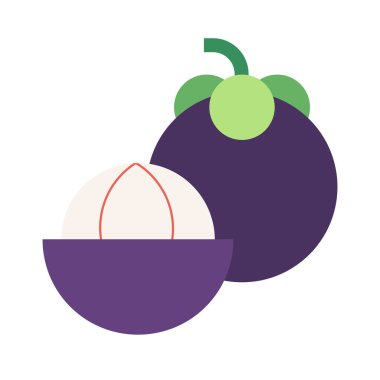 Mangosteen yassı ikon vektör çizimi