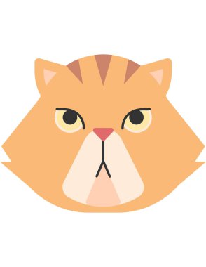 Beyaz arka planda sevimli kedi yüzü