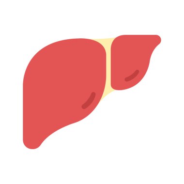 Karaciğer ağı simgesi. Vektör illüstrasyonu 