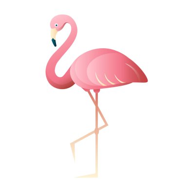 Beyaz arkaplanda flamingo vektör simgesi