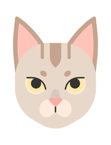 Roztomilý Kočičí Obličej Vektorové Ilustrace — Stockový vektor