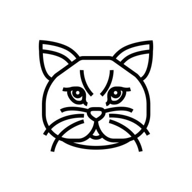 kedi, simge, vektör illüstrasyonu 