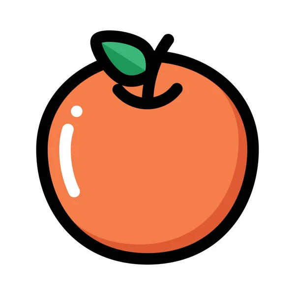 Orange Icon Vector Illustration — Stock Vector