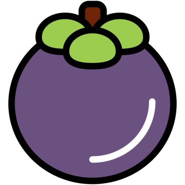 Mangosteen meyvesinin vektör çizimi