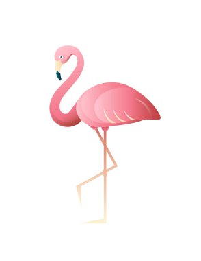 Beyaz arkaplanda flamingo vektör simgesi