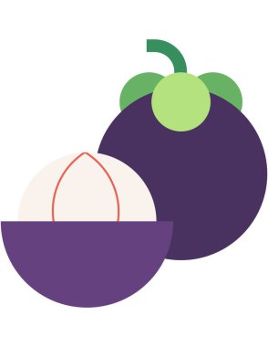 Mangosteen meyvesinin vektör çizimi