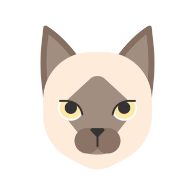 Birmanya düz ikon vektör illüstrasyonu