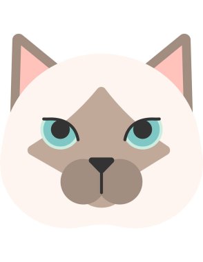 şirin kedi yüzlü vektör çizimi