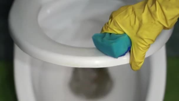 The woman washes with a bast a toilet bowl seat. — Stock Video