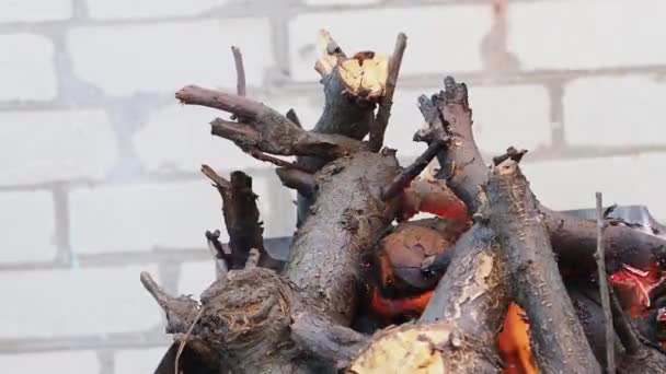 Fuego Arde Leña Del Tamaño Diferente Fuego Arde Hay Denso — Vídeos de Stock