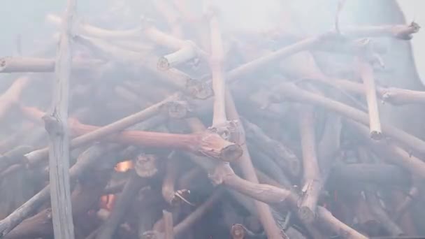 Kleines Brennholz brennt, es qualmt. — Stockvideo
