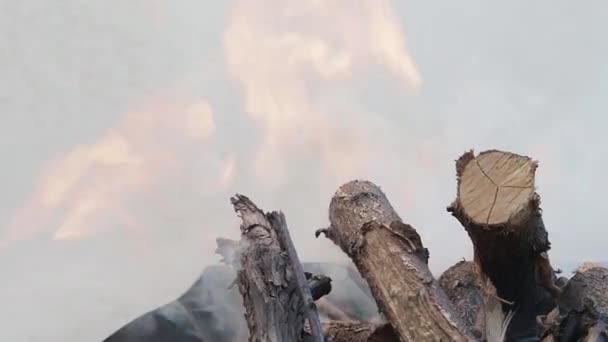 Маленькие дрова горят, есть дым . — стоковое видео