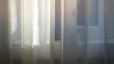 Güneşi perdeye vuran kirişler.