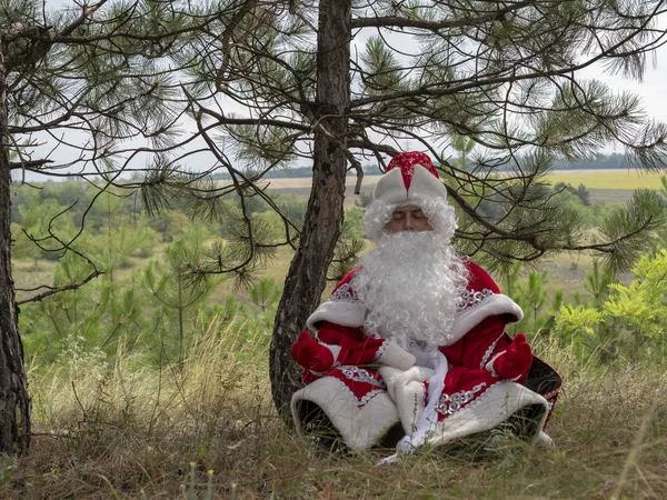 Caráter Ano Novo Senta Uma Pose Lótus Abaixo Abetos Verão — Fotografia de Stock