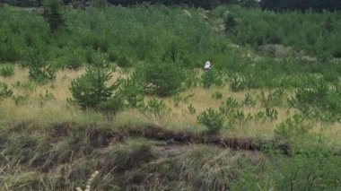 Babası Don ahşap üzerine gider ve bir el dalgalar. Yeni yıl karakter genç çam ağaçları arasında gider. Eylem uzakta. Hızlandırılmış.