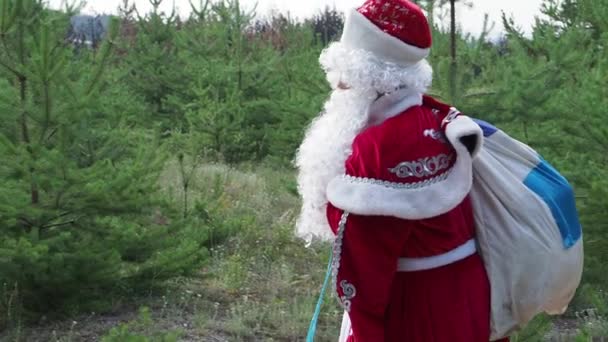 霜冻神父带着一个袋子在木头上 新的一年人物在绿树间移动 — 图库视频影像