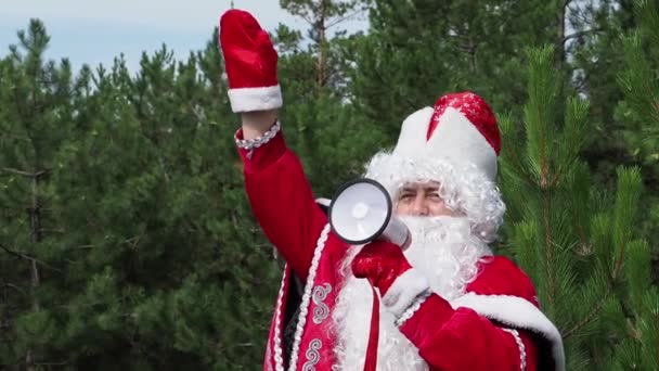 Padre Frost Grita Megáfono Agita Una Mano Bosque Carácter Año — Vídeos de Stock