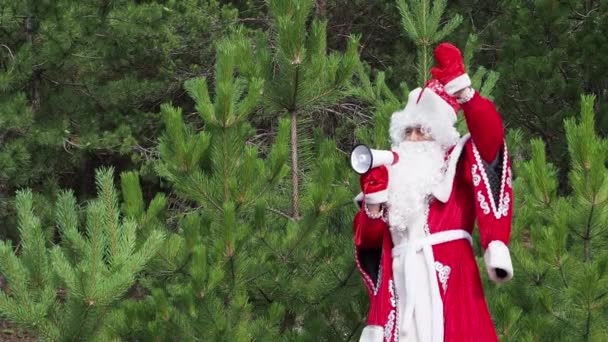 Vadertje Vorst Schreeuwt Megafoon Golven Van Een Hand Het Hout — Stockvideo