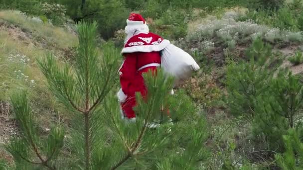 Πατέρα Frost Σχετικά Μια Gorm Ανεβαίνει Χαρακτήρα Της Πρωτοχρονιάς Κινείται — Αρχείο Βίντεο