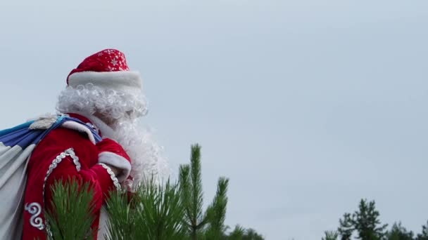 Vadertje Vorst Zowel Wordt Gelegd Het Hout Draagt Een Zak — Stockvideo